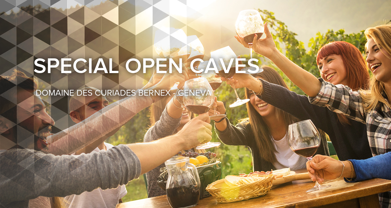 Special open caves at Domaine des Curiades